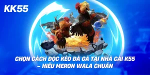 Cách đọc kèo đá gà